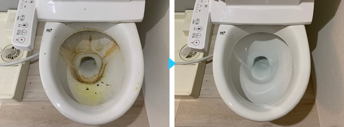 トイレ便器クリーニング例